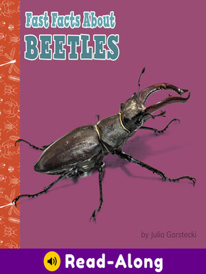 cover image of Fast Facts About Beetles